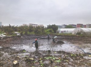 广安河道鱼塘清淤